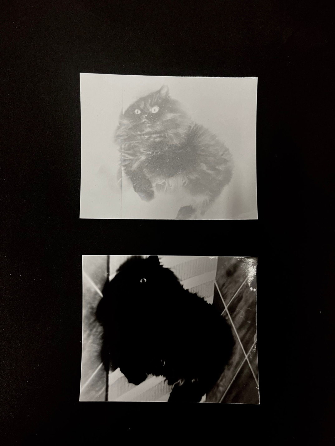 Dummy customer print for layout testing